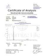 COA_NMN_2024-01-23