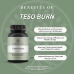 Teso Burn Peptide | Obesity Reducting, Cognitive Enhancing and Immunity Boosting Research Peptide