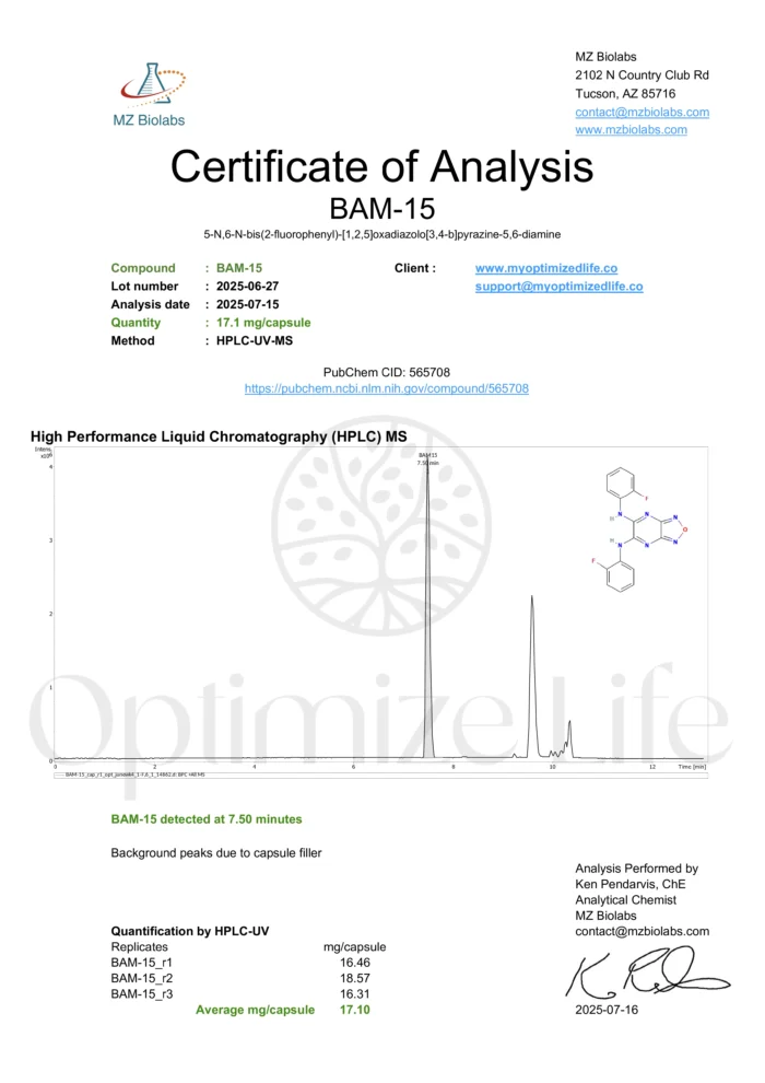 BAM15 (Mitochondrial Uncoupler) - Image 1